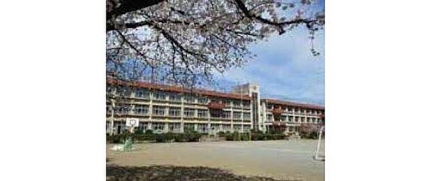 八王子市立宇津木台小学校(約1,073m)