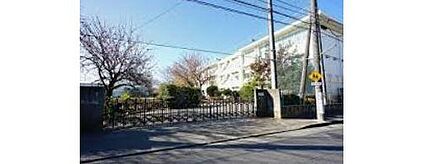 東大和市立第二中学校 583m(徒歩8分)