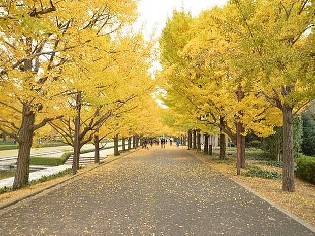 昭和記念公園(約1,200m)