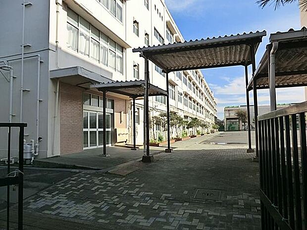 横浜市立新田中学校(約650m)