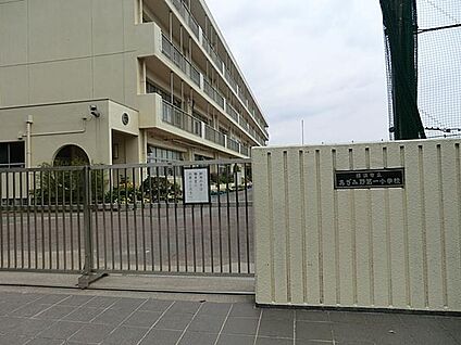 あざみ野第一小学校 1100m