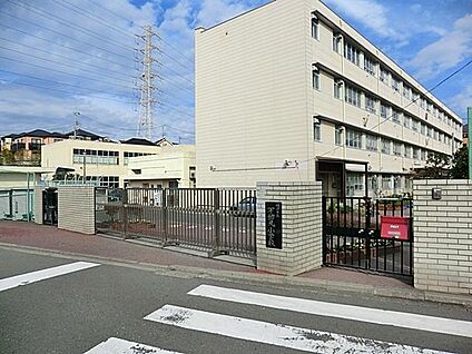 横浜市立不動丸小学校 450m