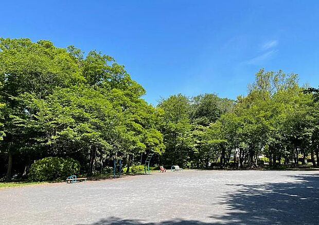 泉中央公園(約900m)