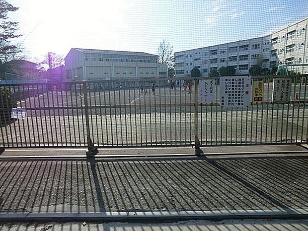 横浜市立小雀小学校(約900m)