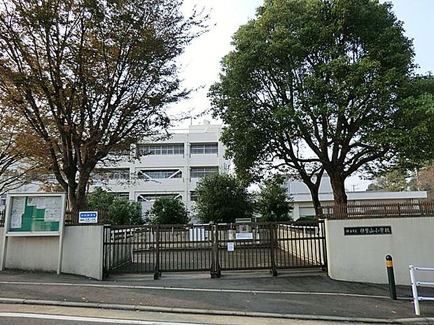 横浜市立伊勢山小学校（約25m）