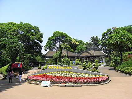 野毛山動物園 1800m(23分)