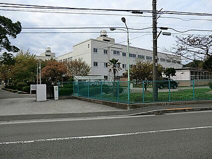 横浜市立金沢中学校 1800m(23分)