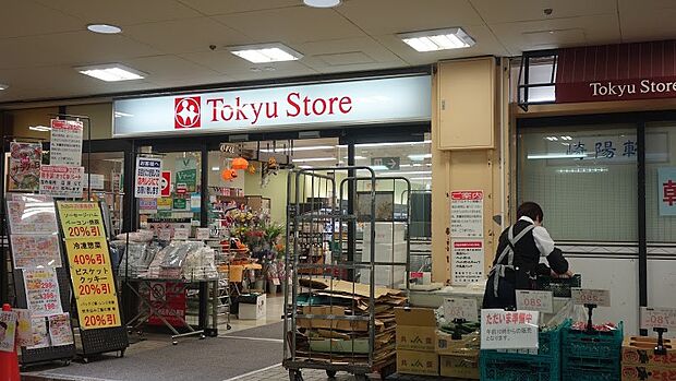 東急ストア菊名店（約560m・徒歩7分）