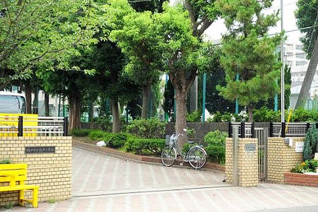 横浜市立根岸小学校（約495m・徒歩7分）