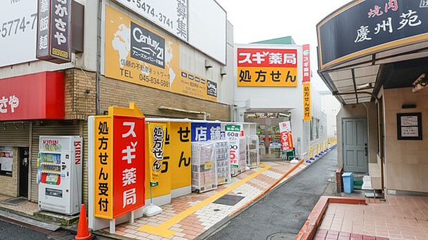 スギ薬局菊名駅南店(約710m・徒歩9分)