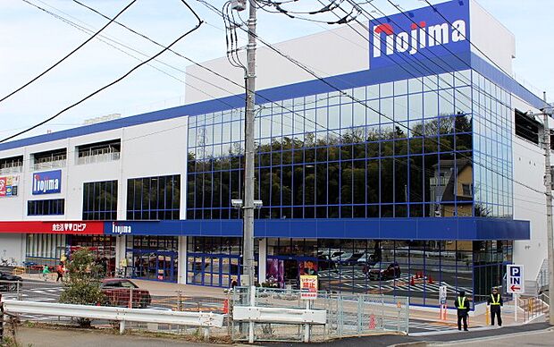 ロピア川崎水沢店（約1,150m・徒歩15分）
