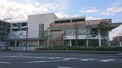 アピタ横浜綱島店 410m(6分)