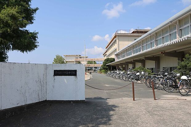 中部中学校（約1m）