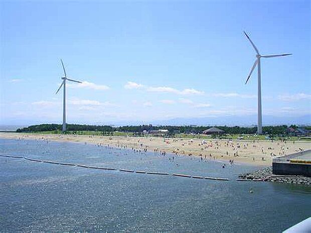 新舞子マリンパーク（約3m）