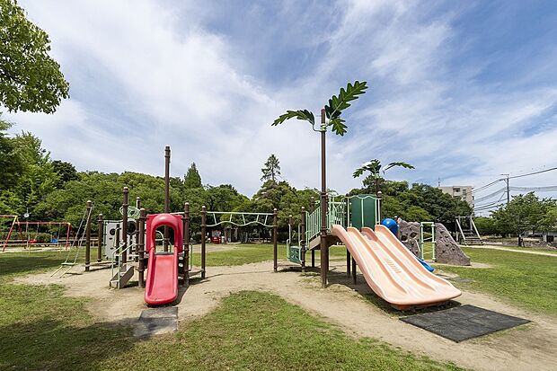 中央公園（約60m）