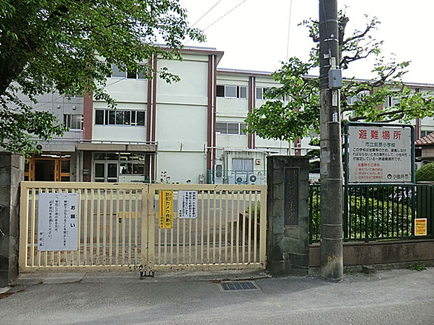 小金井市立前原小学校（約94m）