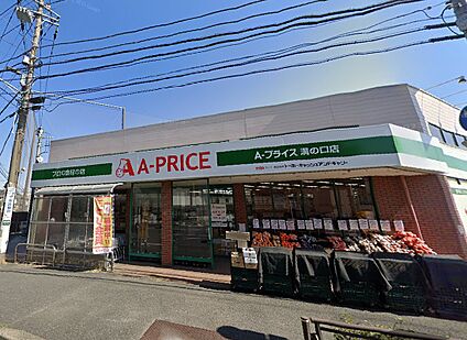 Aプライス溝の口店 981ｍ(徒歩13分)