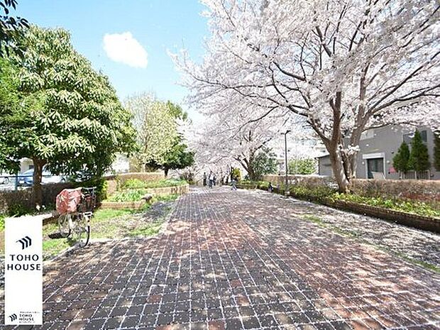 芹が谷公園 約2km