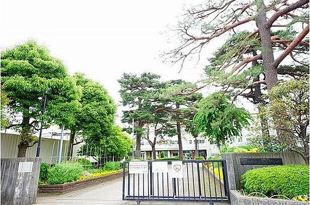 相模原市立弥栄中学校(約628m)