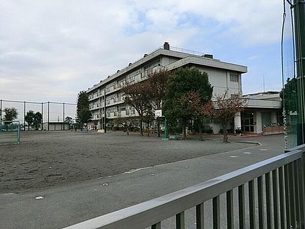 横浜市立東市ケ尾小学校（約700m）