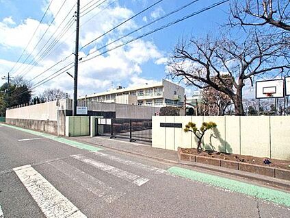 相模原市立若草小学校 1200m(徒歩15分)
