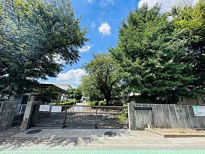 相模原市立双葉小学校 400m(徒歩5分)