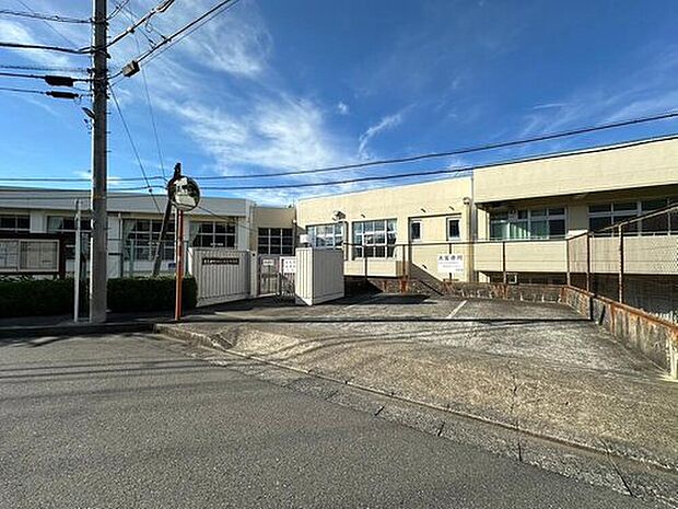 真光寺中学校(約300m)