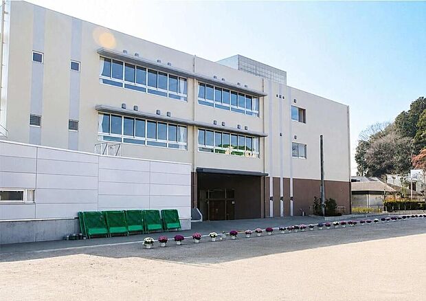 柿生小学校(約600m)