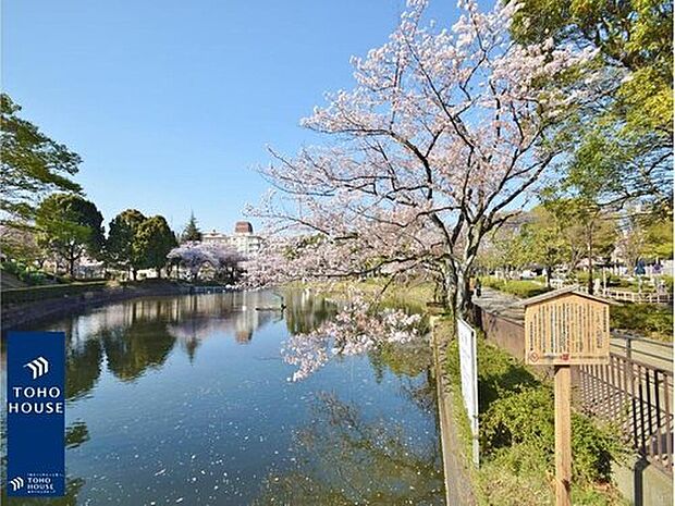 ◇◆鹿沼公園　約750ｍ◆◇春は桜の名所、無料でゴーカートや自転車に乗車でき、野球場やテニスコートまで完備され、スポーツも楽しめる年中人気の高い公園です。