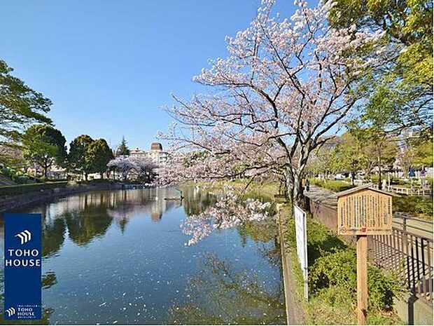 ◆鹿沼公園 約1km
春は桜の名所、無料でゴーカートや自転車に乗車でき、野球場やテニスコートまで完備され、スポーツも楽しめる年中人気の高い公園です。