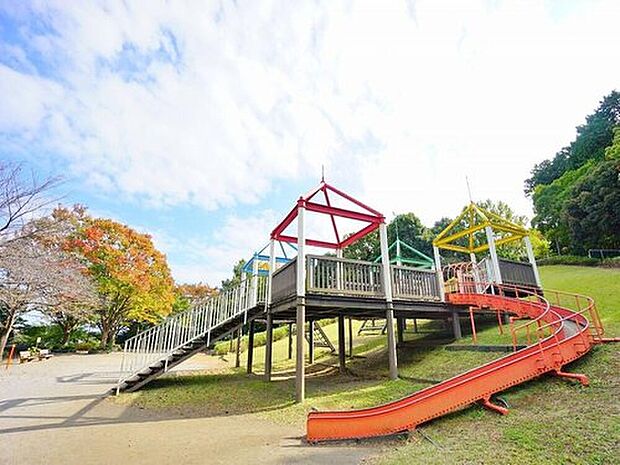 金井遊歩公園(約1,000m)