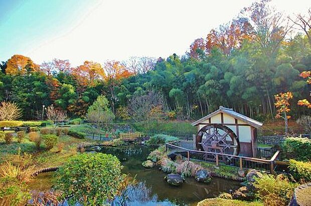 ホタルの里 上谷戸親水公園