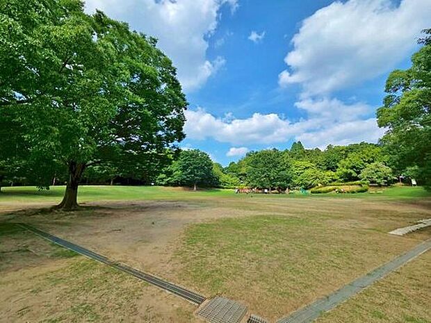 王禅寺ふるさと公園