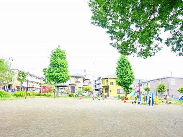 栄公園(約65m)