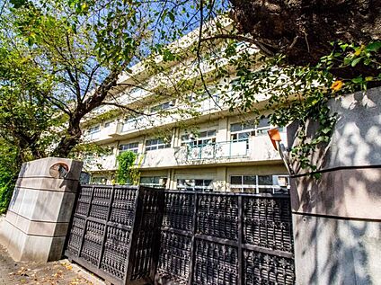 木崎中学校 984m(徒歩13分)