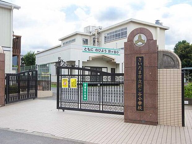 針ヶ谷小学校(約900m)