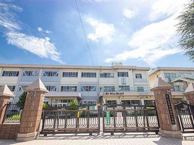 西浦和小学校(約300m)