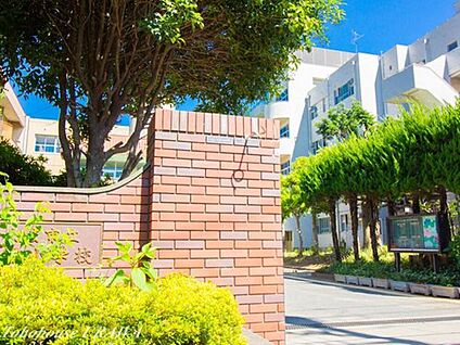 大谷場小学校 300ｍ(徒歩4分)