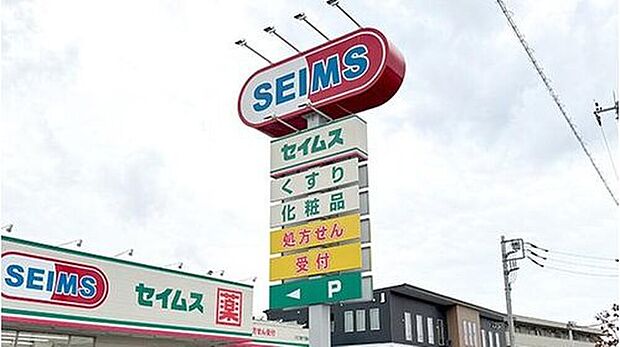 ドラッグストアセイムス浦和芝原店（約790m）
