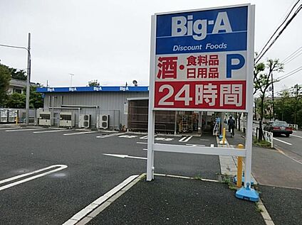 ビッグ・エー小平鈴木店 806ｍ(徒歩11分)