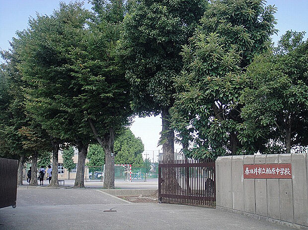 柏原中学校（約1,020m）