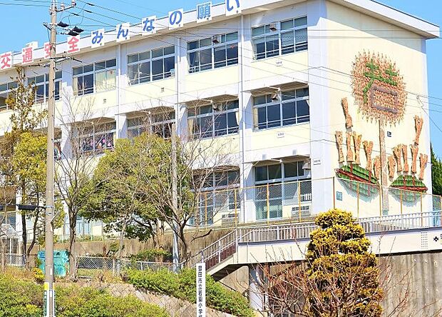 豊田市立若園小学校（約550m）