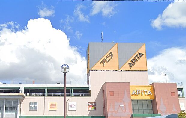 アピタ安城南店（約1,000m）