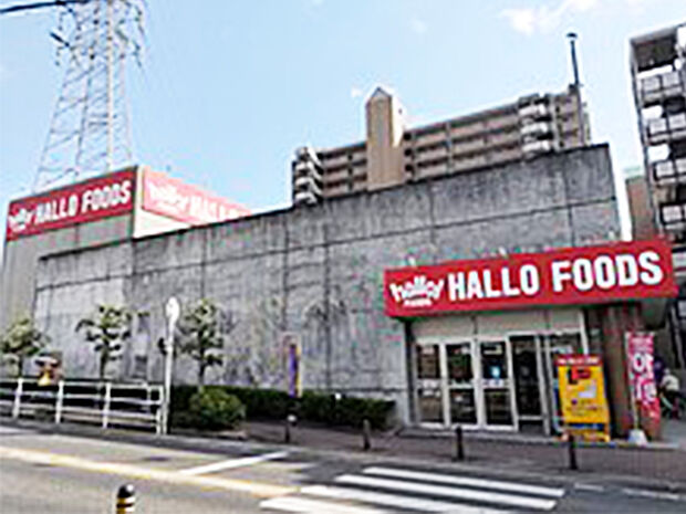 ハローフーヅ天白店(約850m)