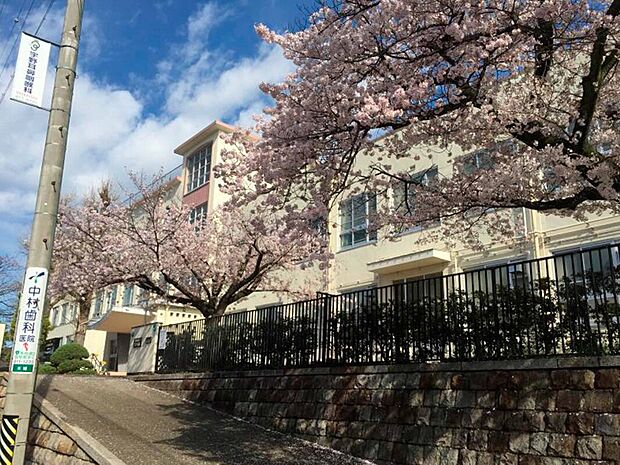 笠寺小学校（約310m）