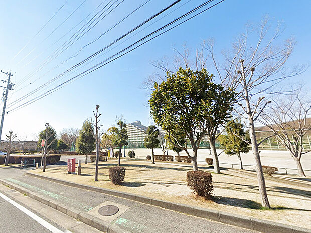 三好丘公園(約300m)