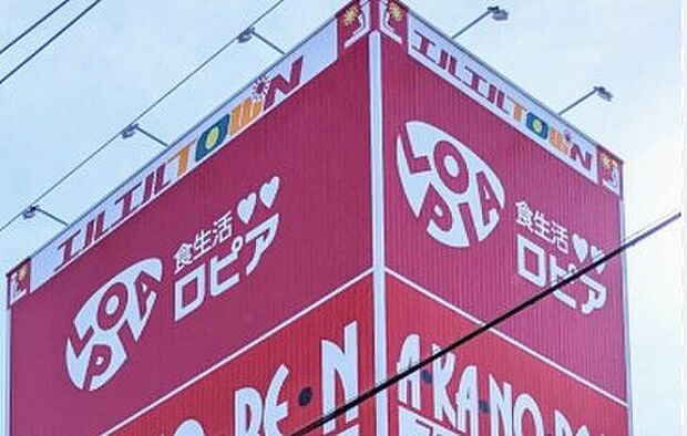 ロピア 岡崎エルエルタウン店(約250m)