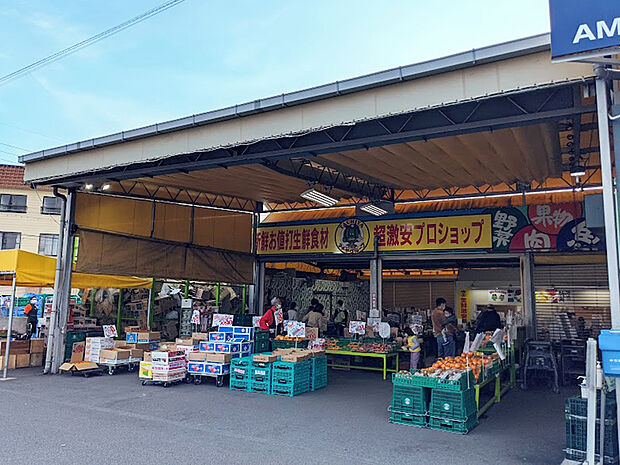 タチヤ緑神沢店（約650m）