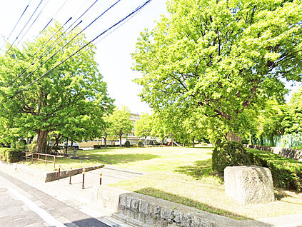中須公園 430m(徒歩6分)