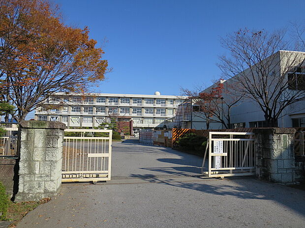 一宮市立木曽川中学校（約1m）